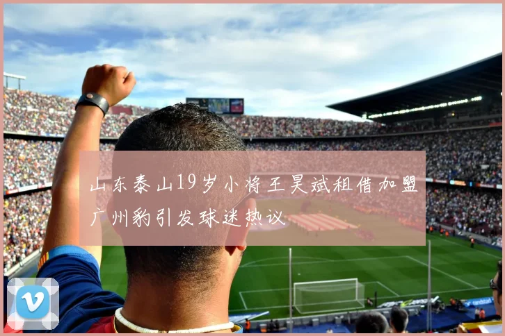 山东泰山19岁小将王昊斌租借加盟广州豹引发球迷热议