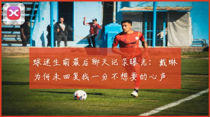 球迷生前最后聊天记录曝光：戴琳为何未回复我一分不想要的心声