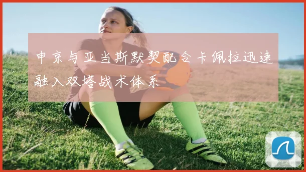 申京与亚当斯默契配合卡佩拉迅速融入双塔战术体系